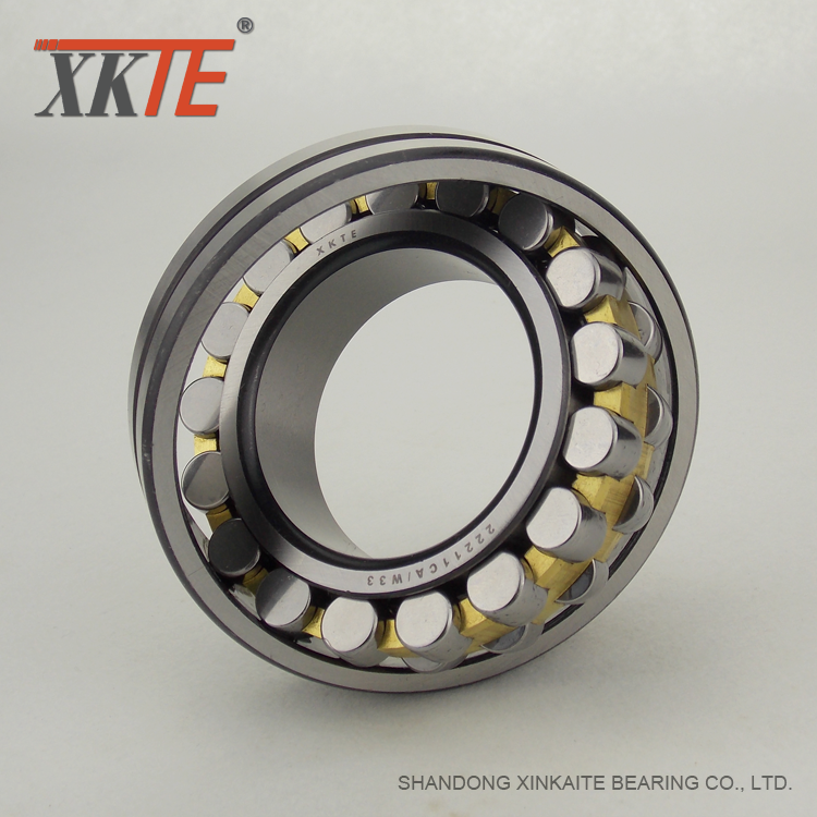 Conveyor Tail Pulley Bearing