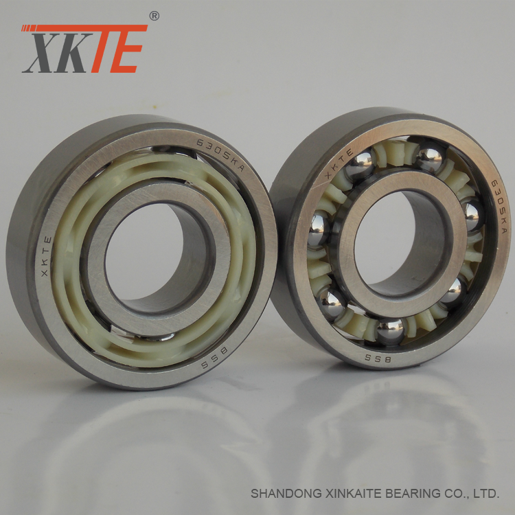 BB1B420204 C3 Bearing